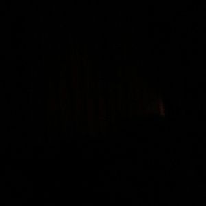 Meet your Posher, Karin